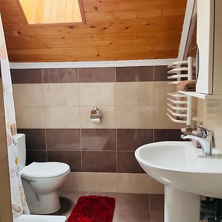 Belvedere-karpaty Skhidnytsia