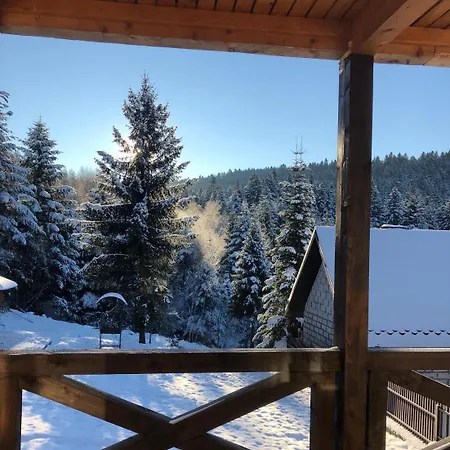 Belvedere-karpaty Skhidnytsia