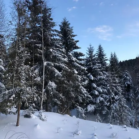 Belvedere-karpaty