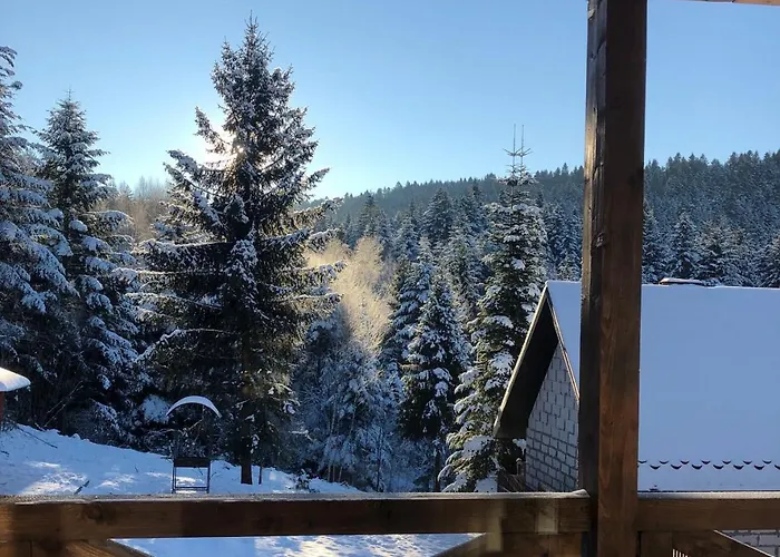 Belvedere-karpaty Skhidnytsia
