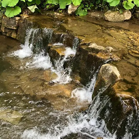 Belvedere-karpaty Skhidnytsia