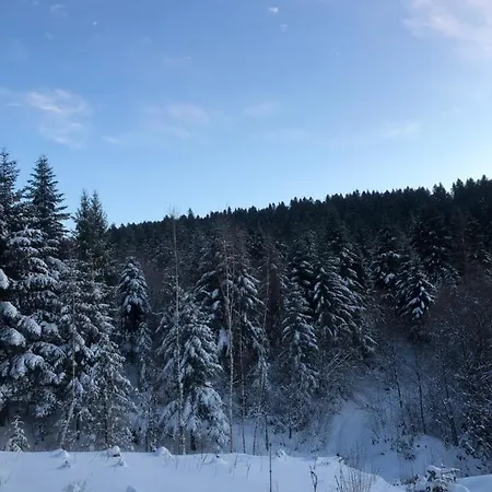 Villa Belvedere-karpaty *
