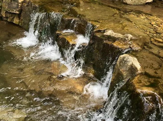 Belvedere-karpaty Skhidnytsia