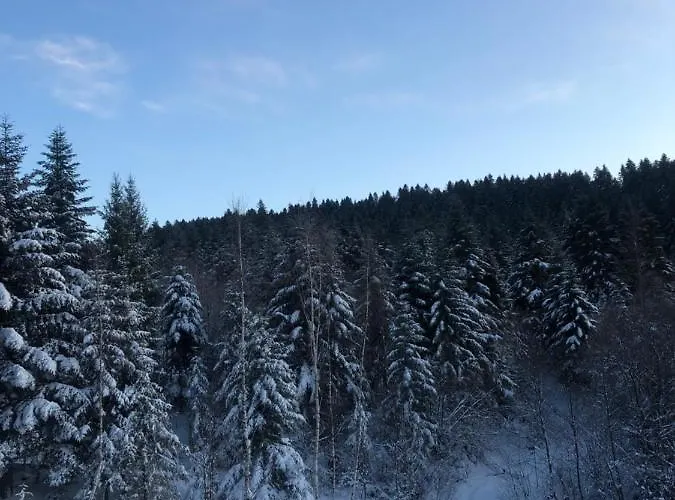 Vila Belvedere-karpaty *